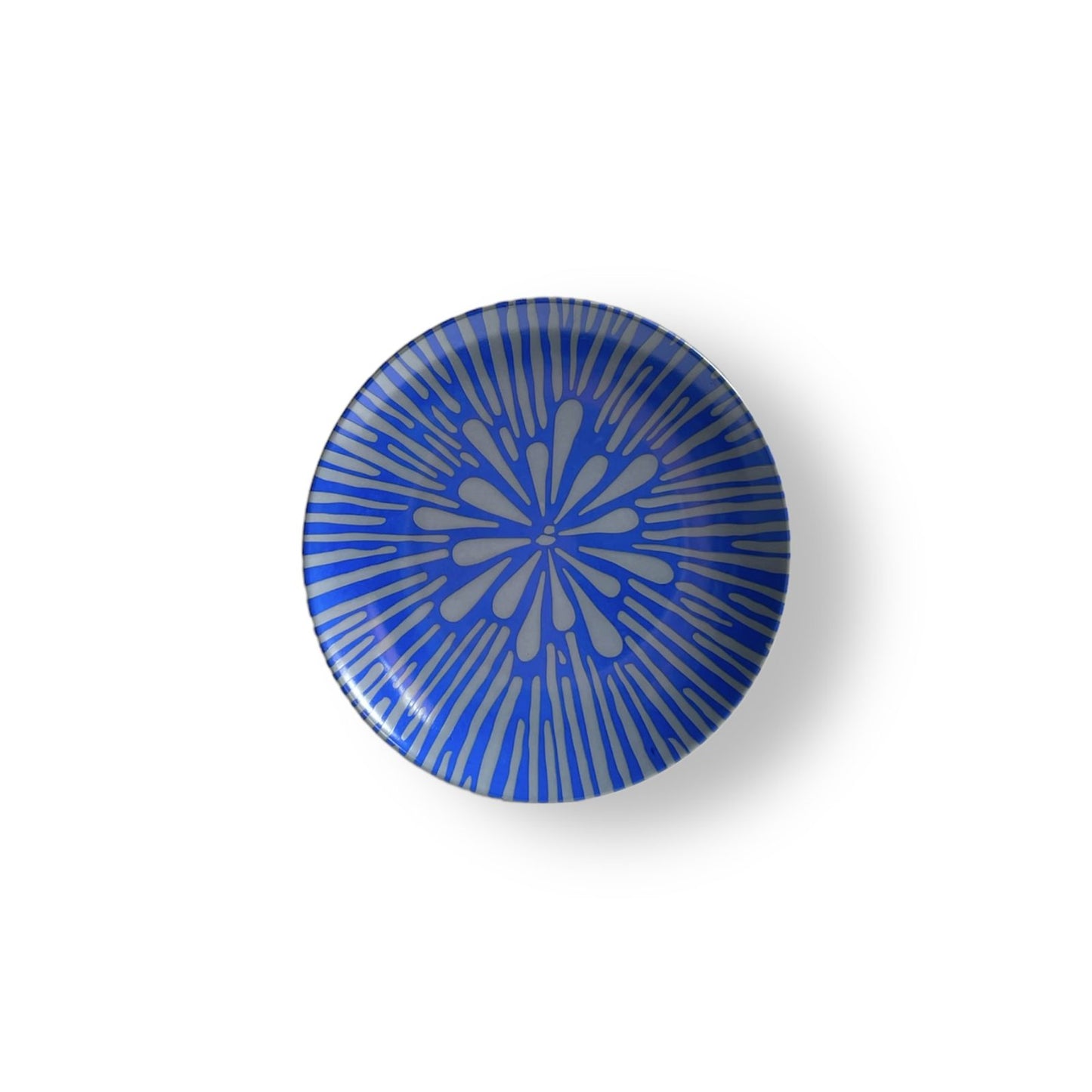 Plato Pomología Colores