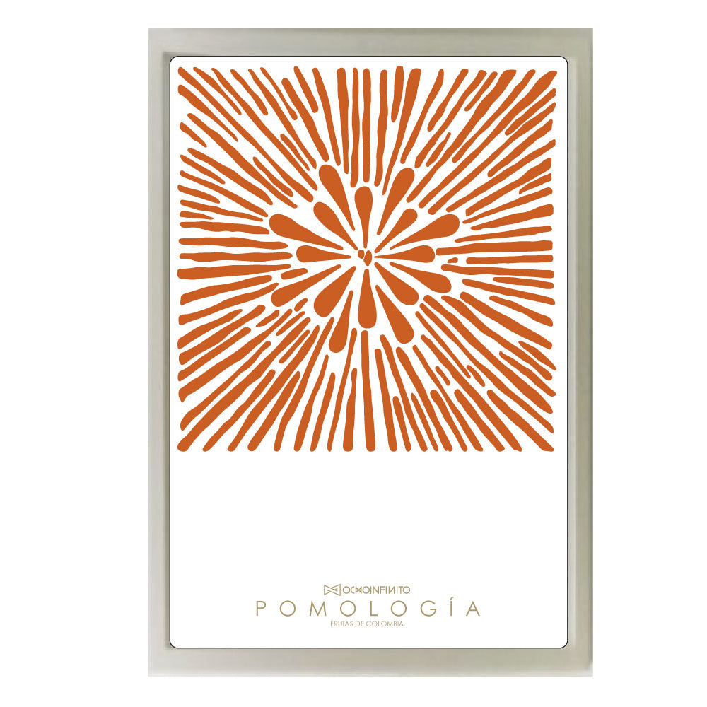 Poster Pomología Plano - Ladrillo