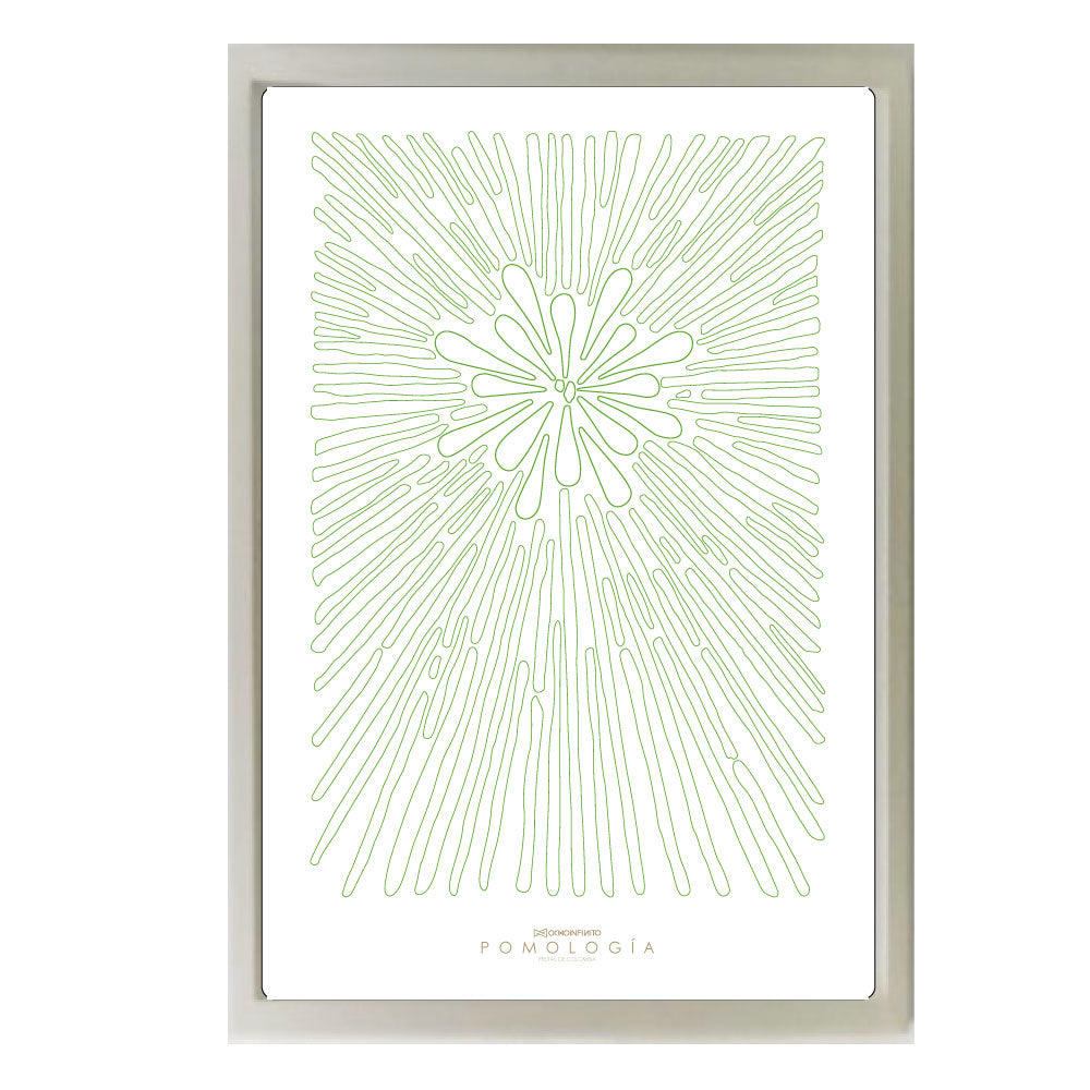Poster Pomología Línea - Verde