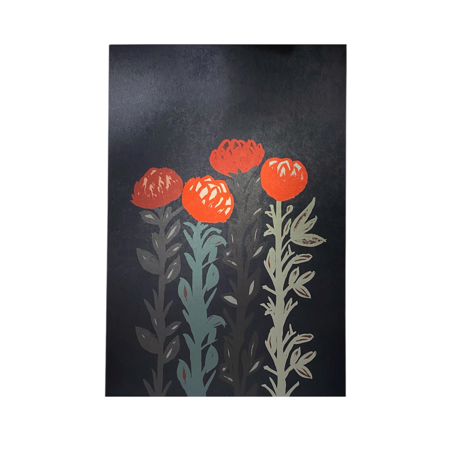 Flowering One - Large Format Illustration on Frame