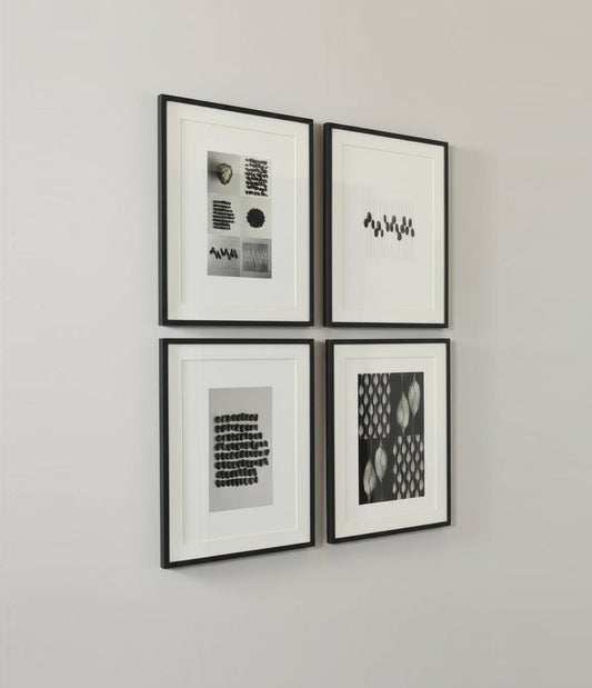 SERIES #1 Fine Art POMOLOGY 2.0