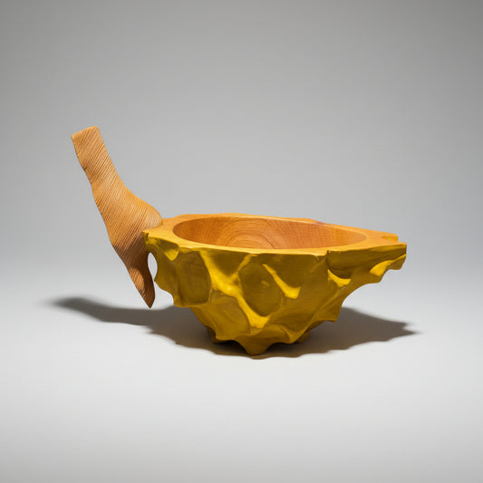 Pitahaya Bowl
