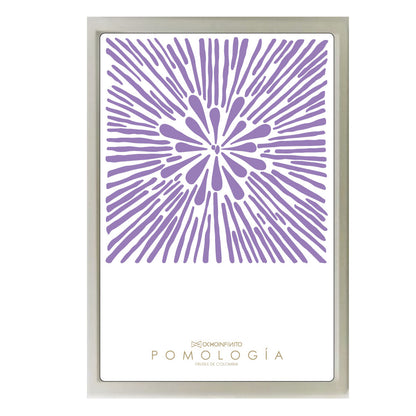 Pomology Poster Plan - Lavender