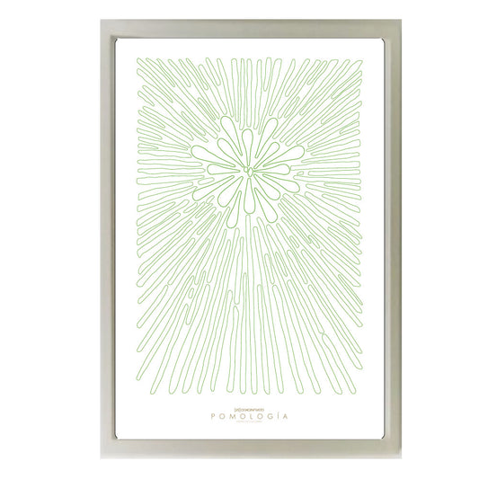Poster Pomología Línea - Verde