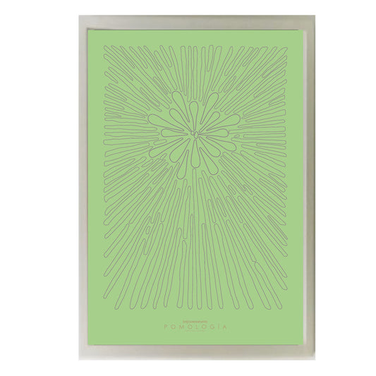 Poster Pomología Plano - Lavanda