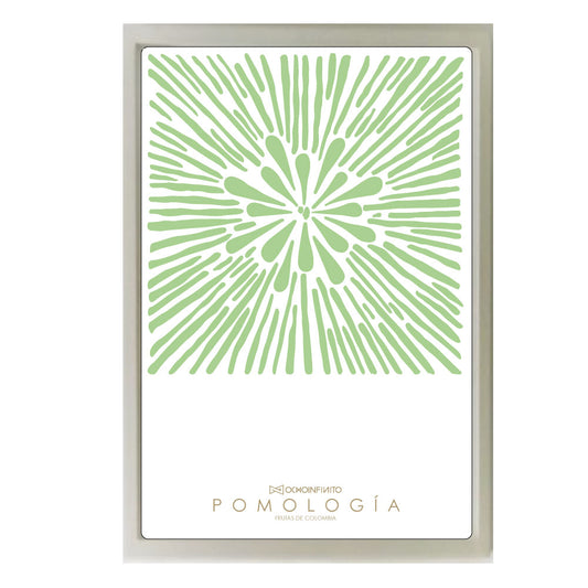 Poster Pomología Plano - Verde claro