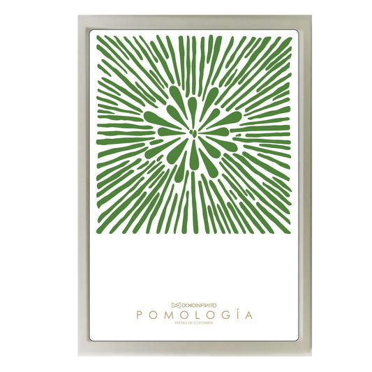 Pomología Vertical Plano - Verde