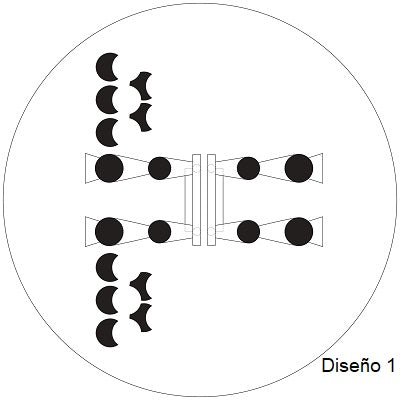 Platos POMOLOGÍA 2.0 Set 5