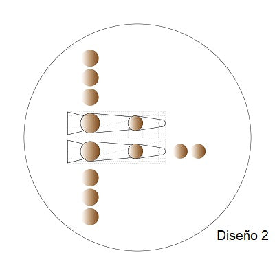 Platos POMOLOGÍA 2.0 Set 5