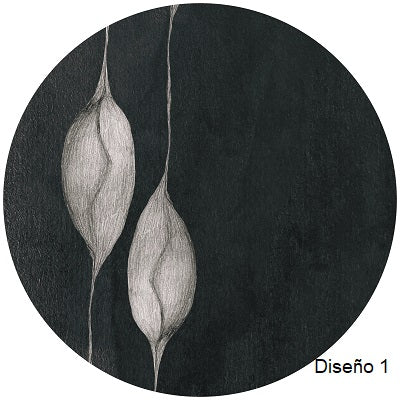 Platos POMOLOGÍA 2.0 Set 6