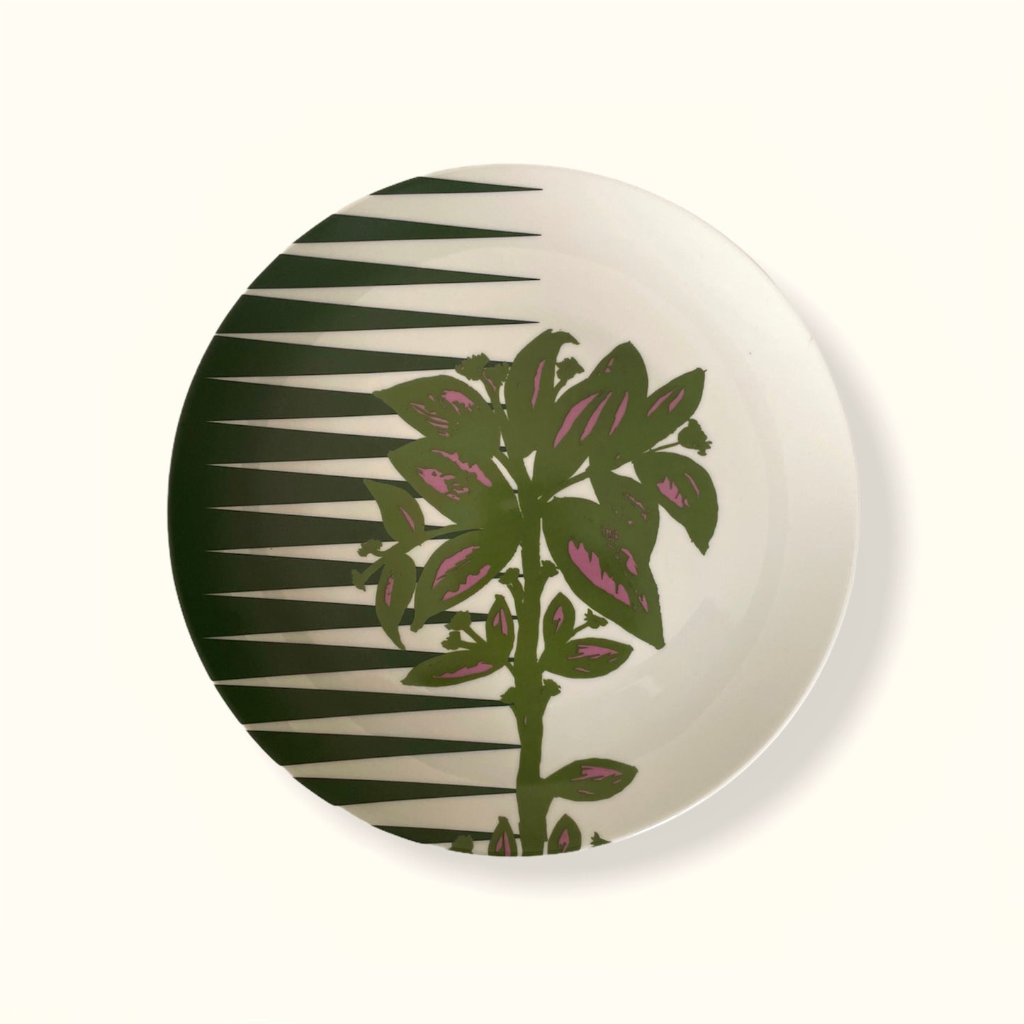 Plato Bosques de Niebla 8