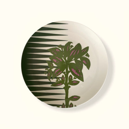 Plato Bosques de Niebla 8