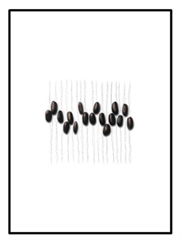 SERIE 1 Fine Art POMOLOGÍA 2.0 - OCHOINFINITO