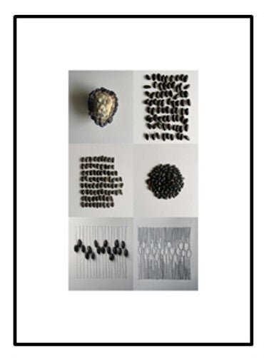 SERIE 1 Fine Art POMOLOGÍA 2.0 - OCHOINFINITO