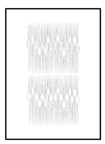 SERIE 2 Fine Art POMOLOGÍA 2.0 - OCHOINFINITO