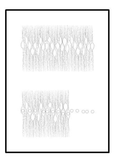 SERIE 2 Fine Art POMOLOGÍA 2.0 - OCHOINFINITO