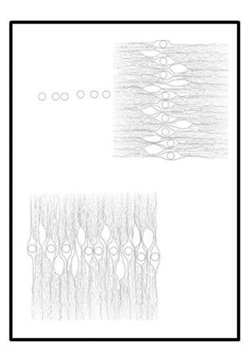 SERIE 2 Fine Art POMOLOGÍA 2.0 - OCHOINFINITO