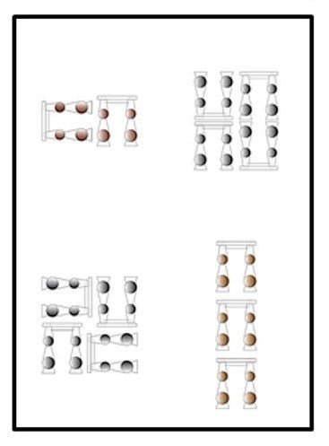 SERIE 3 Fine Art POMOLOGÍA 2.0 - OCHOINFINITO