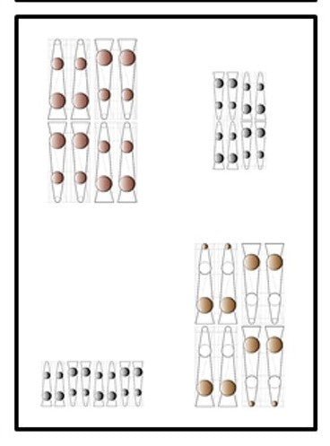 SERIE 3 Fine Art POMOLOGÍA 2.0 - OCHOINFINITO