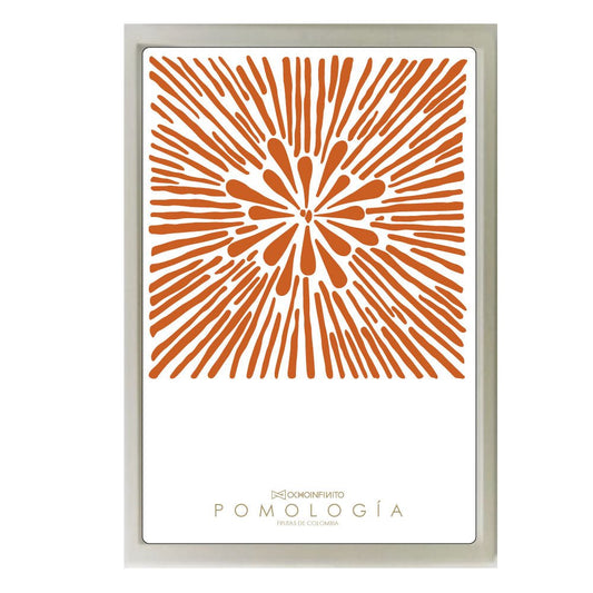 Poster Pomología Plano - Ladrillo - OCHOINFINITO