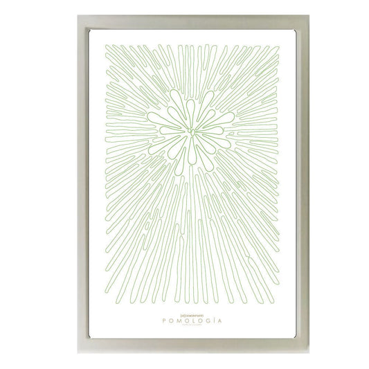 Poster Pomología Línea - Verde - OCHOINFINITO