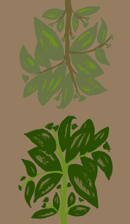 Mantel BDN ZOOM 3 - OCHOINFINITO