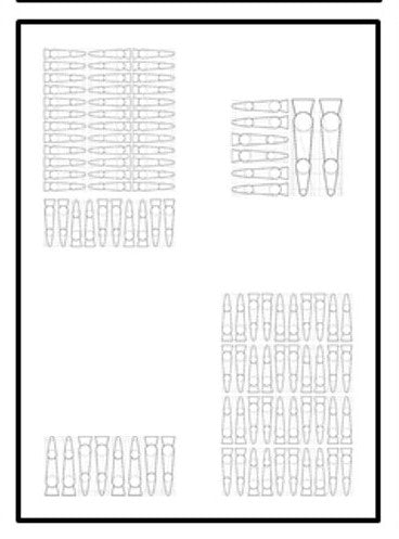 SERIE 3 Fine Art POMOLOGÍA 2.0 - OCHOINFINITO