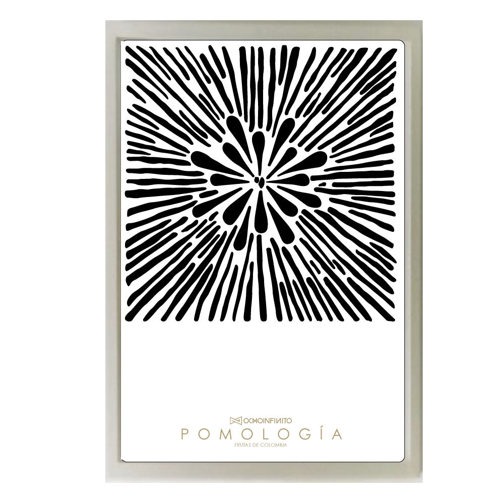 Poster Pomología Plano - Negro - OCHOINFINITO
