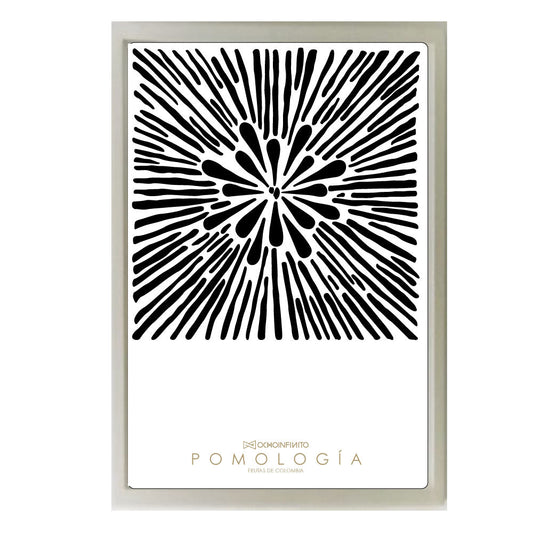 Poster Pomología Plano - Negro - OCHOINFINITO
