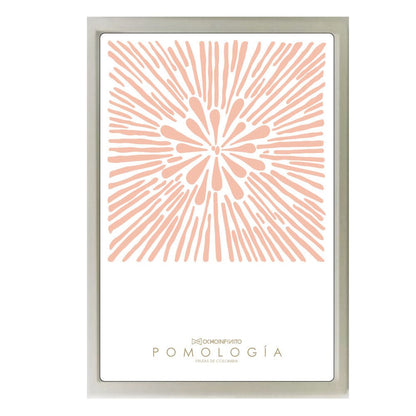 Poster Pomología Plano - Rosado - OCHOINFINITO