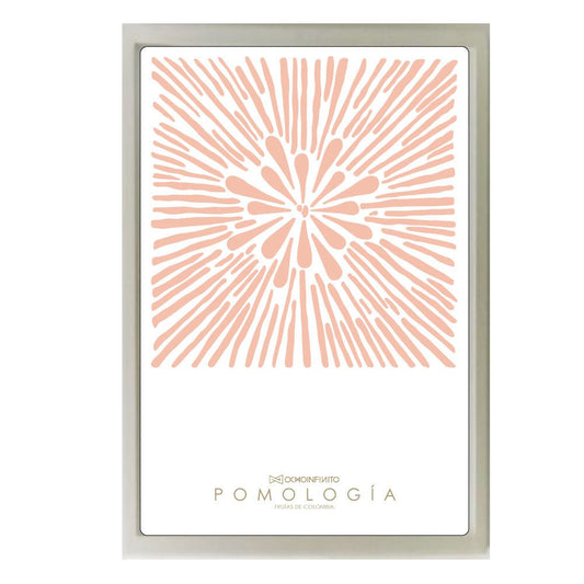Poster Pomología Plano - Rosado - OCHOINFINITO