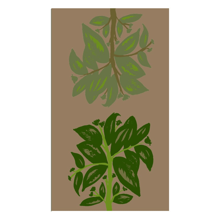 Mantel BDN ZOOM 3 - OCHOINFINITO