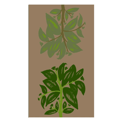 Mantel BDN ZOOM 3 - OCHOINFINITO